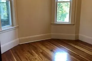 73 Iroquois St, Boston, MA 02120 - Photo 6
