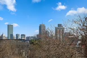 50 Leo M Birmingham Pkwy, Boston, MA 02135 - Photo 28