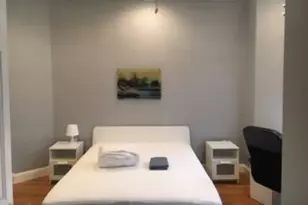 102 Moreland St, Boston, MA 02119 - Photo 10