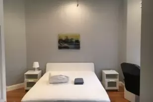 102 Moreland St, Boston, MA 02119 - Photo 10