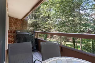 241 Perkins, Boston, MA 02130 - Photo 6