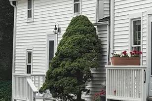 22 Bedford, Lexington, MA 02420 - Photo 2