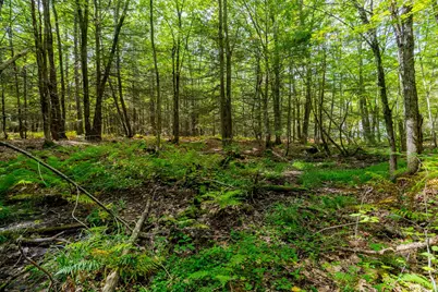 0 Riceville, Athol, MA 01331 - Photo 12