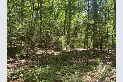 Lot 19 Bernard Whitney Rd, New Braintree, MA 01531 - Photo 14