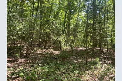 Lot 19 Bernard Whitney Rd, New Braintree, MA 01531 - Photo 1