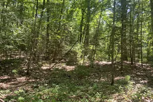 Lot 19 Bernard Whitney Rd, New Braintree, MA 01531 - Photo 1