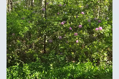 5 Hayden Ln, Bedford, MA 01730 - Photo 36