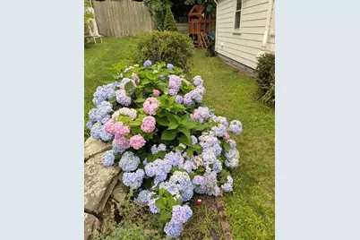 39 Fisher Street, Westwood, MA 02090 - Photo 32