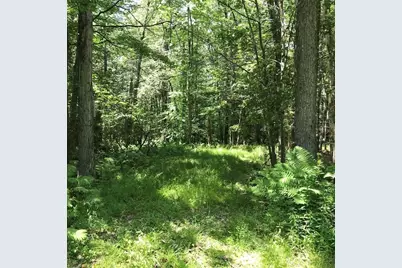 Lot 13 Algerie Rd, Otis, MA 01253 - Photo 14