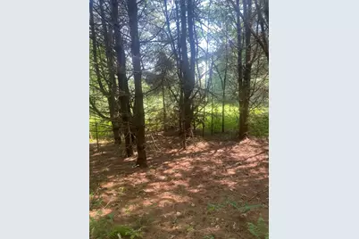 5 East Mountain Rd, Great Barrington, MA 01230 - Photo 6