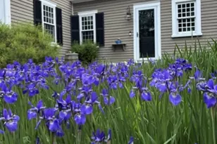 28 Spring St, Hanson, MA 02341 - Photo 4