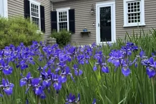 28 Spring St, Hanson, MA 02341 - Photo 4