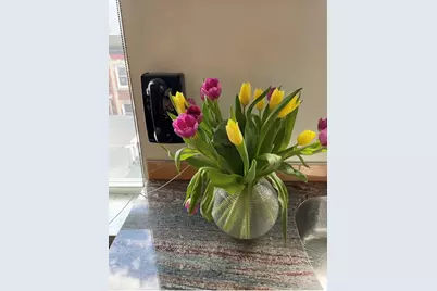 34 Sheafe Street #4, Boston, MA 02113 - Photo 14
