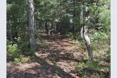 202 Ashumet Rd., Falmouth, MA 02536 - Photo 18
