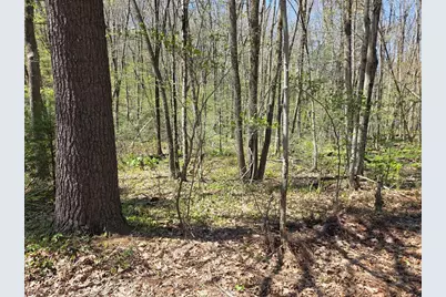 0 Union Road, Holland, MA 01521 - Photo 2