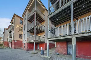 10-24 University Rd, Brookline, MA 02445 - Photo 6