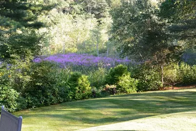 46 Black Burnian Road, Weston, MA 02493 - Photo 42