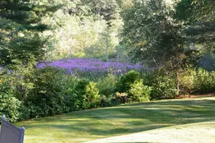 46 Black Burnian Rd, Weston, MA 02493 - Photo 42