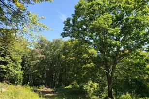 0 Harlow Clark Rd, Huntington, MA 01050 - Photo 1