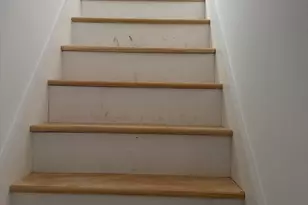 82 William St, Fall River, MA 02721 - Photo 12