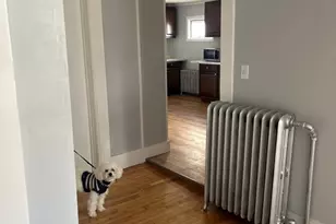 52 Chestnut St, Lynn, MA 01902 - Photo 18