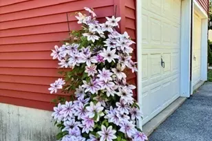 476 Wachusett St, Holden, MA 01520 - Photo 42