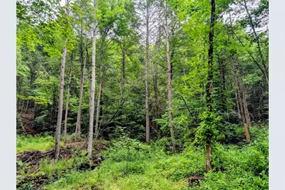 18 Pond Brook Road, Huntington, MA 01050 - Photo 2