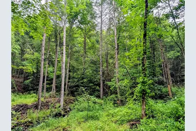 18 Pond Brook Road, Huntington, MA 01050 - Photo 2