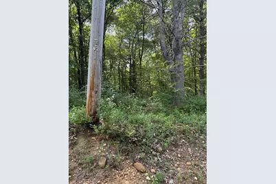 291 Warren Rd, Brimfield, MA 01010 - Photo 4