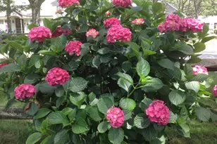 169 Seaview Ave, Yarmouth, MA 02664 - Photo 4