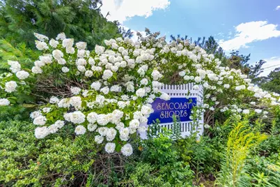 8 Hampden Rd, Falmouth, MA 02536 - Photo 4