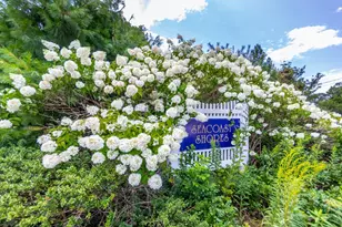 8 Hampden Rd, Falmouth, MA 02536 - Photo 4