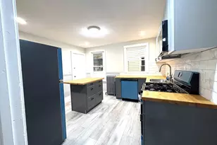 15 Harold Park, Boston, MA 02119 - Photo 8