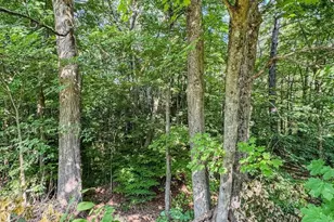 67 Country Club Rd, Greenfield, MA 01301 - Photo 42