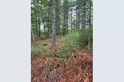 35 Silva St, Carver, MA 02330 - Photo 20