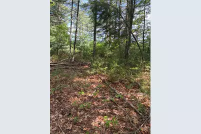 35 Silva St, Carver, MA 02330 - Photo 32
