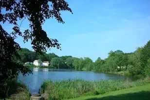 133 Lake Shore Rd, Boston, MA 02135 - Photo 14