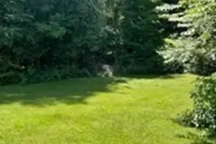 374 Wilbraham Rd, Hampden, MA 01036 - Photo 8