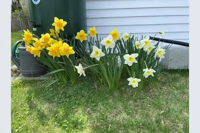 17 Highland Street #1, Rockport, MA 01966 - Photo 38