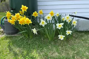 17 Highland St, Rockport, MA 01966 - Photo 38