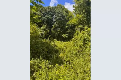 264 Breen Road, Hardwick, MA 01082 - Photo 2