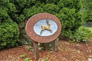 6 Deerfield Ct, Grafton, MA 01519 - Photo 30