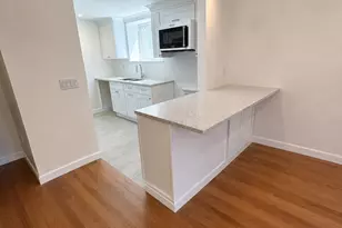 20 Stearns Rd, Brookline, MA 02446 - Photo 1