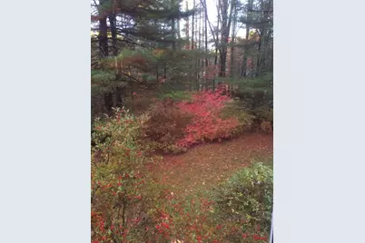 494 Station Rd, Amherst, MA 01002 - Photo 30