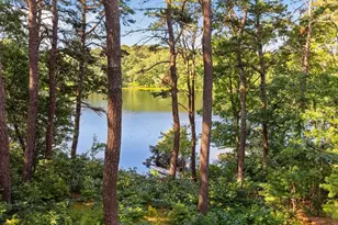 8 Theatre Dr, Falmouth, MA 02536 - Photo 38