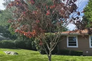 28 Delmar Rd, Brockton, MA 02302 - Photo 6