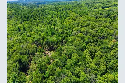Lot 00 Thayer Hill Road, Worthington, MA 01098 - Photo 6