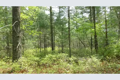 10 Jefferson Way, Carver, MA 02330 - Photo 38