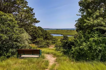 43 Tobey Turtle, Chatham, MA 02659 - Photo 36
