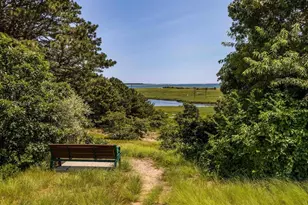 43 Tobey Turtle, Chatham, MA 02659 - Photo 36